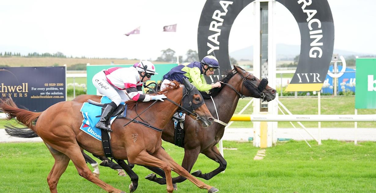 Lolly Money - Yarra Valley 4th January 2024